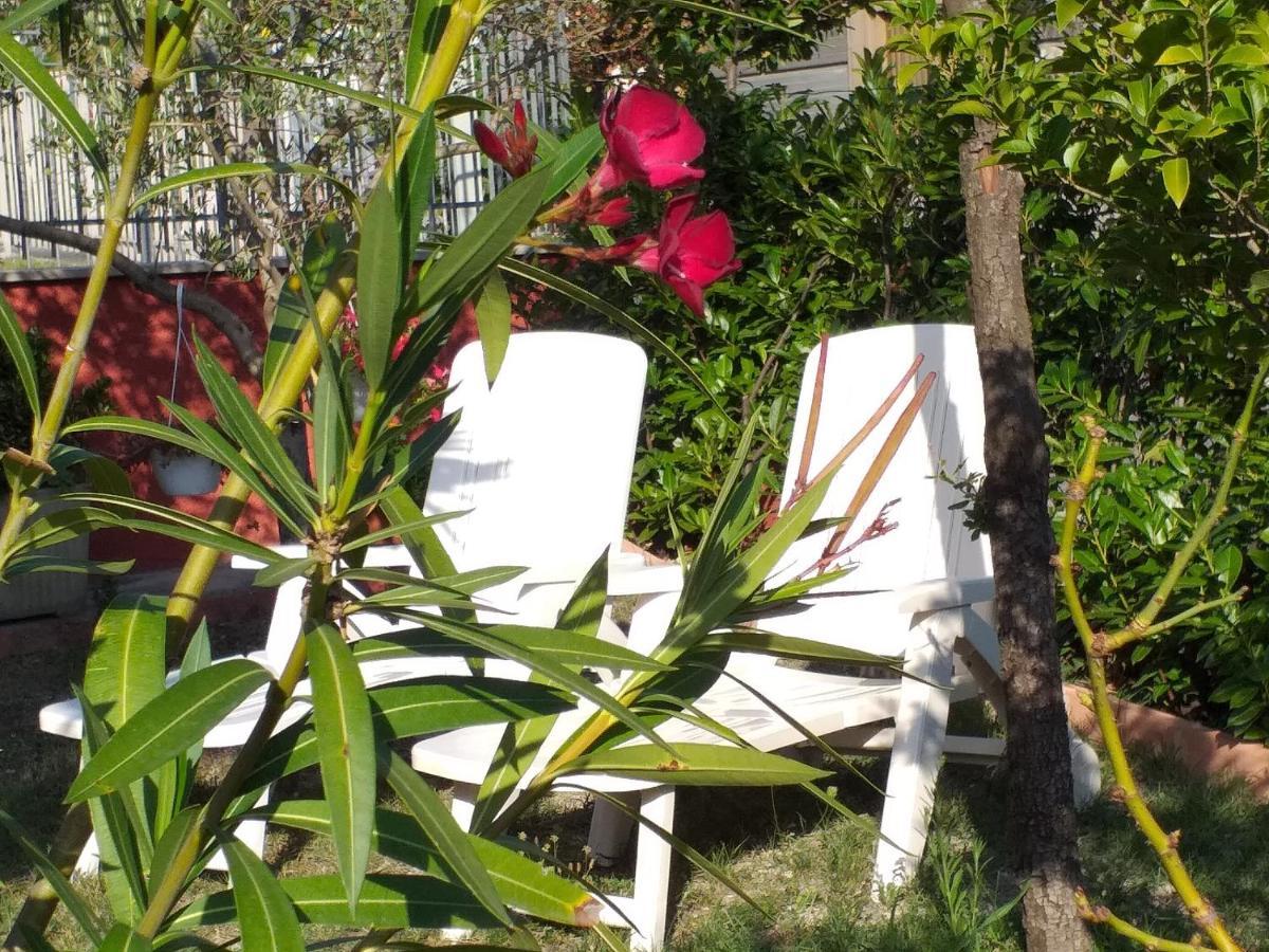 Bed & Breakfast La Rosa Rossa Cagli Luaran gambar