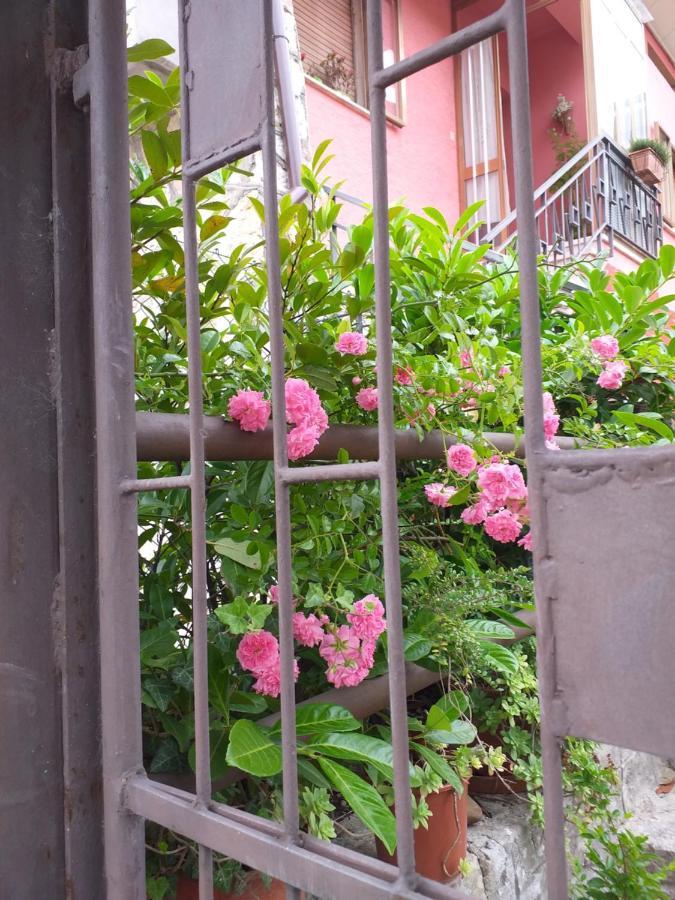Bed & Breakfast La Rosa Rossa Cagli Luaran gambar